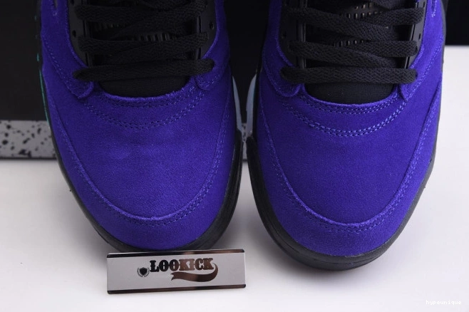 HYPE 5 136027-500 Alternate Grape Jordan Air Retro 0811